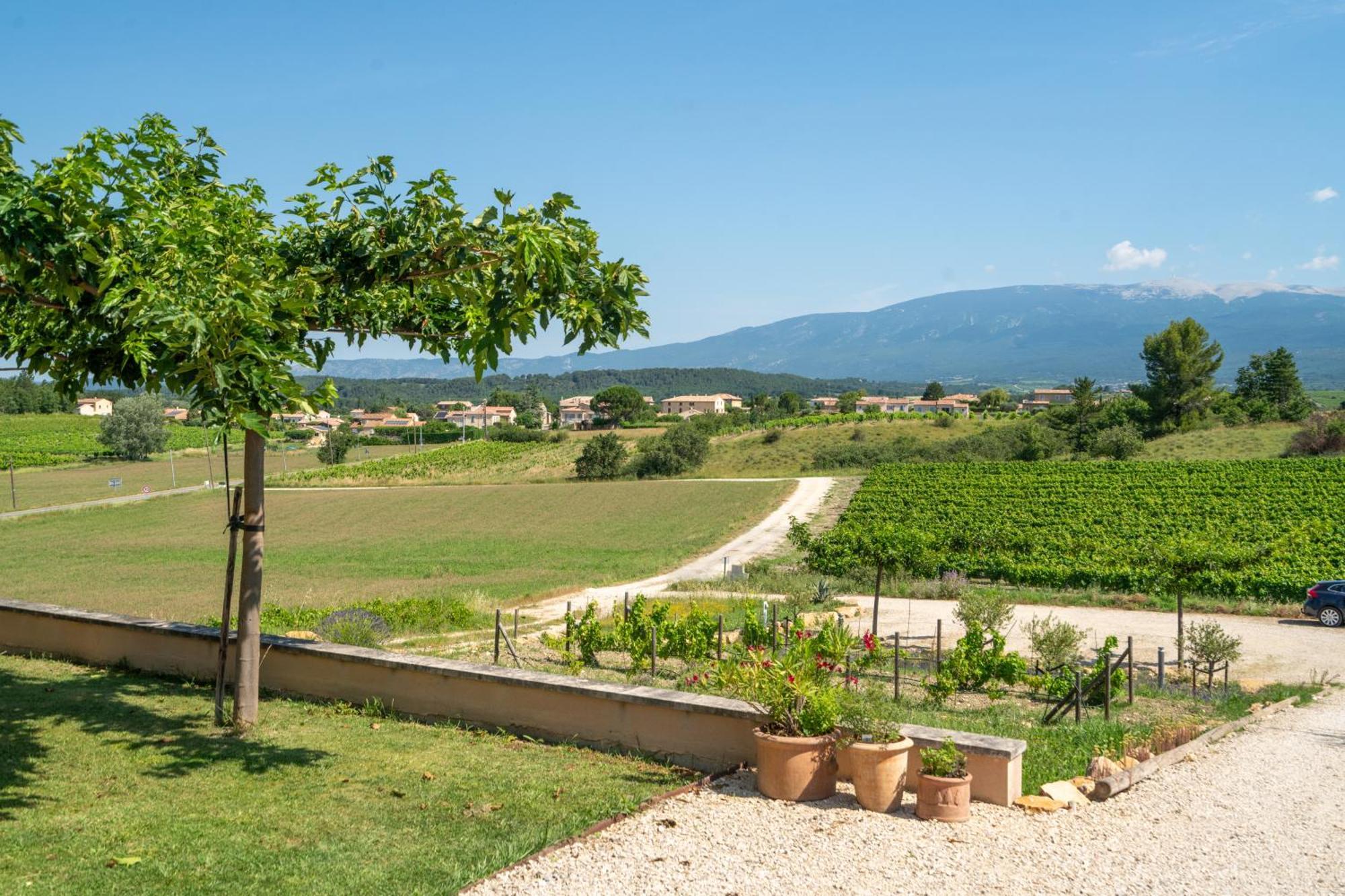 Villa Les Terrasses De Cascavelle Blauvac Exterior foto